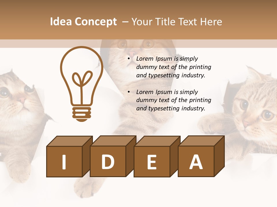 Hole Pedigreed Isolated PowerPoint Template