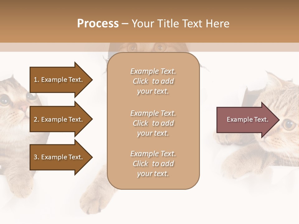 Hole Pedigreed Isolated PowerPoint Template