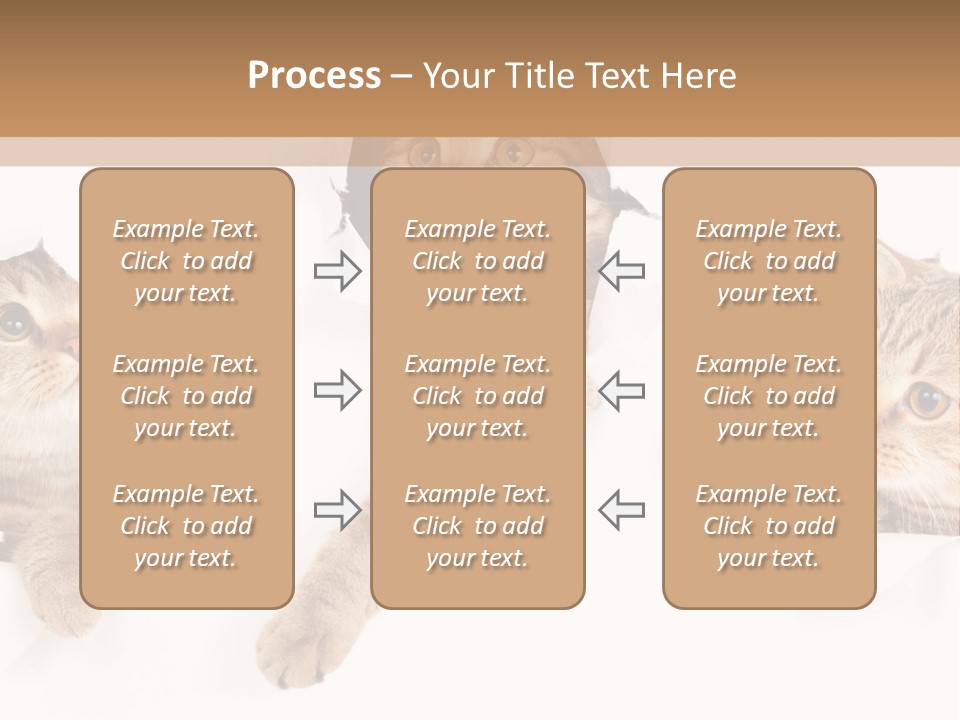 Hole Pedigreed Isolated PowerPoint Template