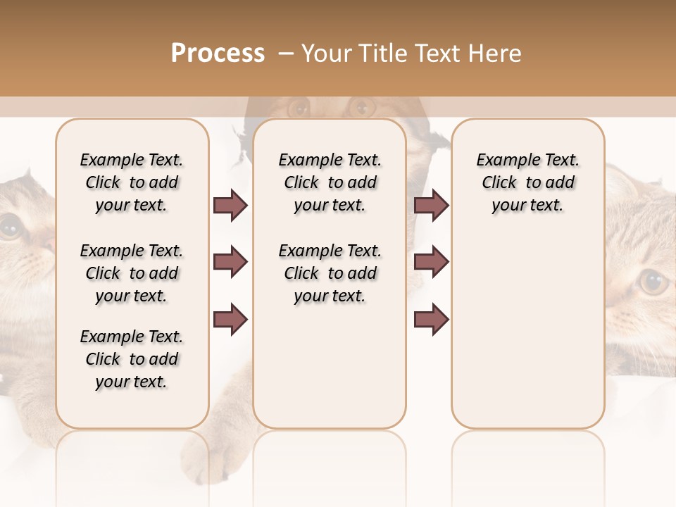 Hole Pedigreed Isolated PowerPoint Template
