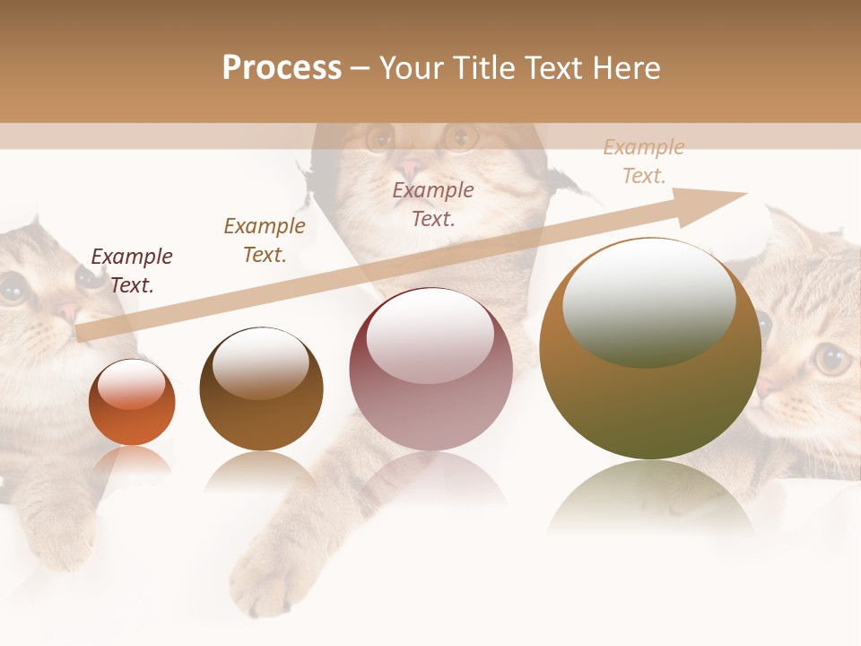 Hole Pedigreed Isolated PowerPoint Template