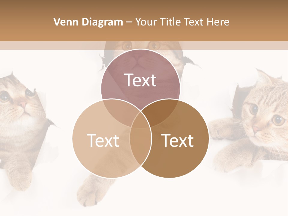 Hole Pedigreed Isolated PowerPoint Template