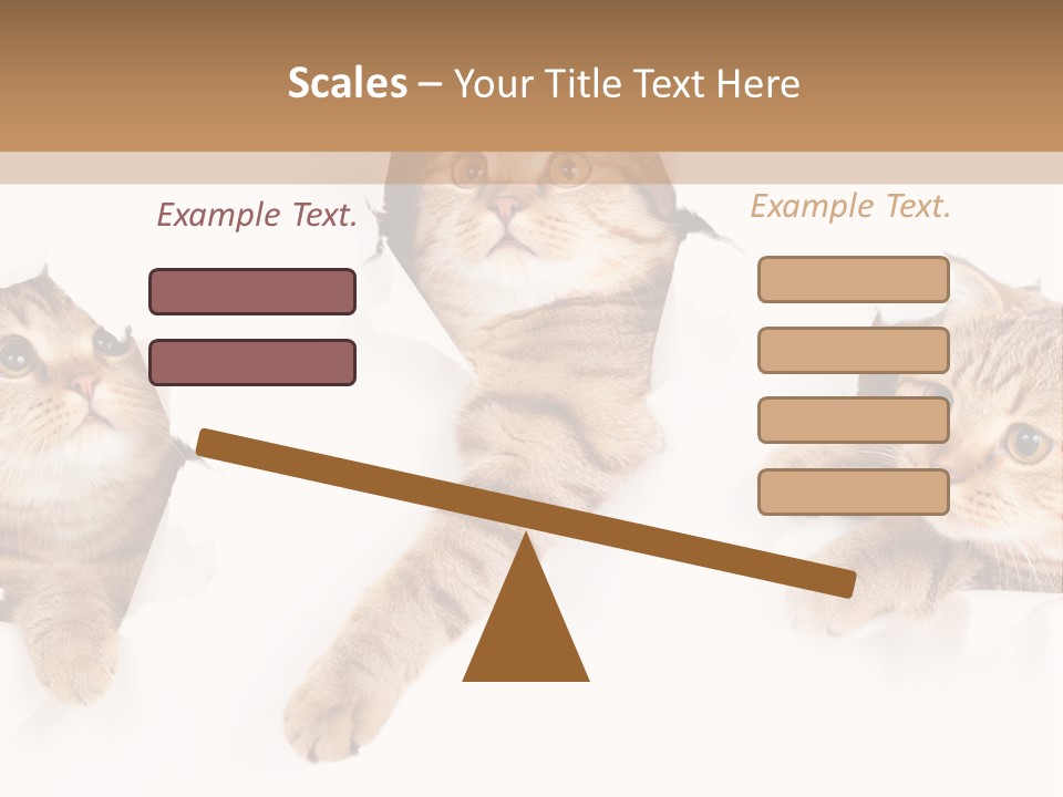 Hole Pedigreed Isolated PowerPoint Template