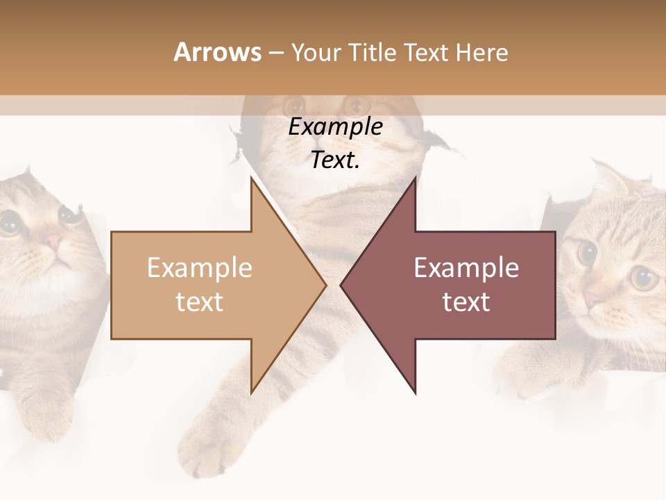 Hole Pedigreed Isolated PowerPoint Template