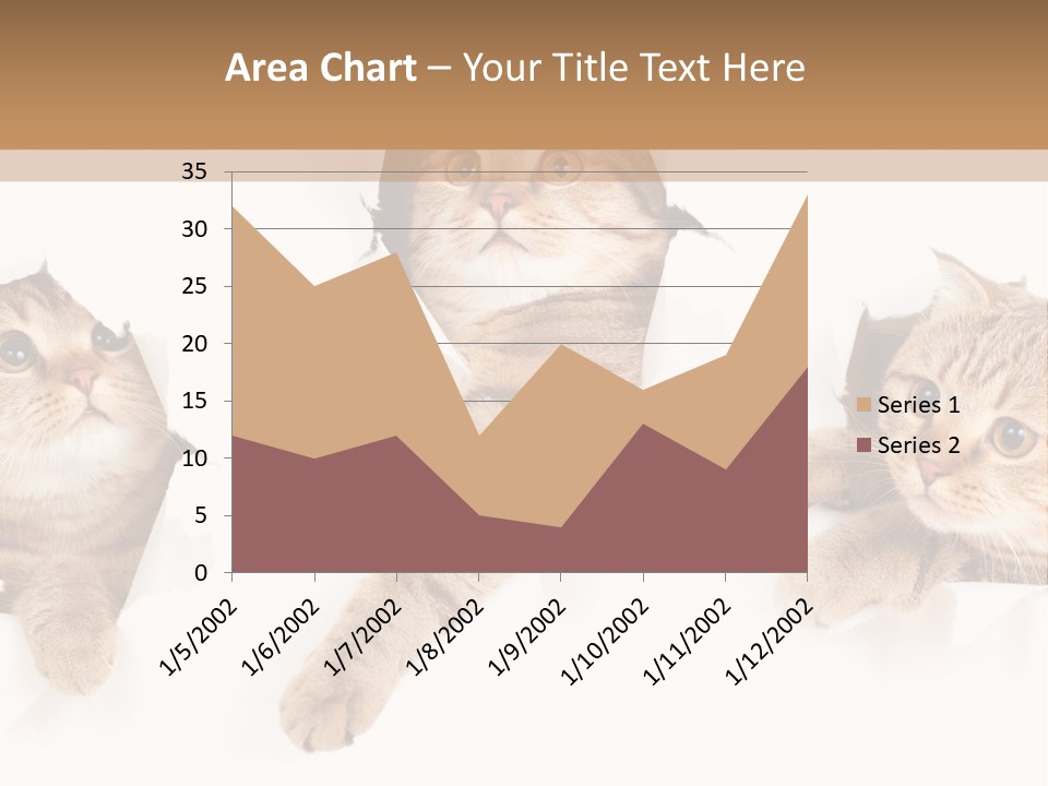 Hole Pedigreed Isolated PowerPoint Template