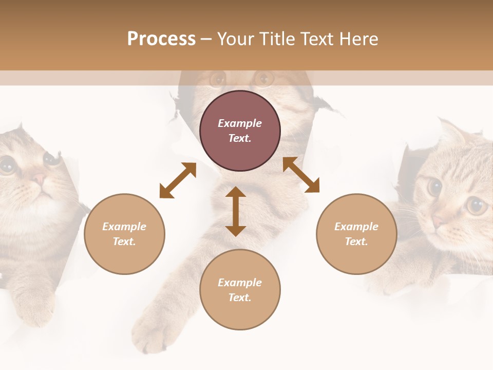 Hole Pedigreed Isolated PowerPoint Template
