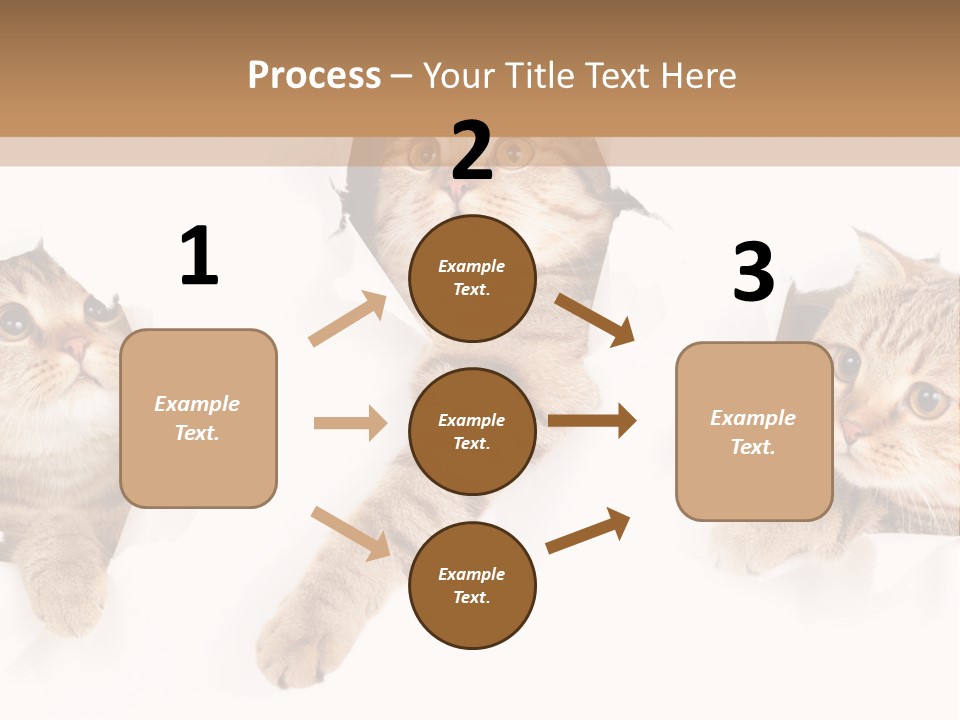 Hole Pedigreed Isolated PowerPoint Template