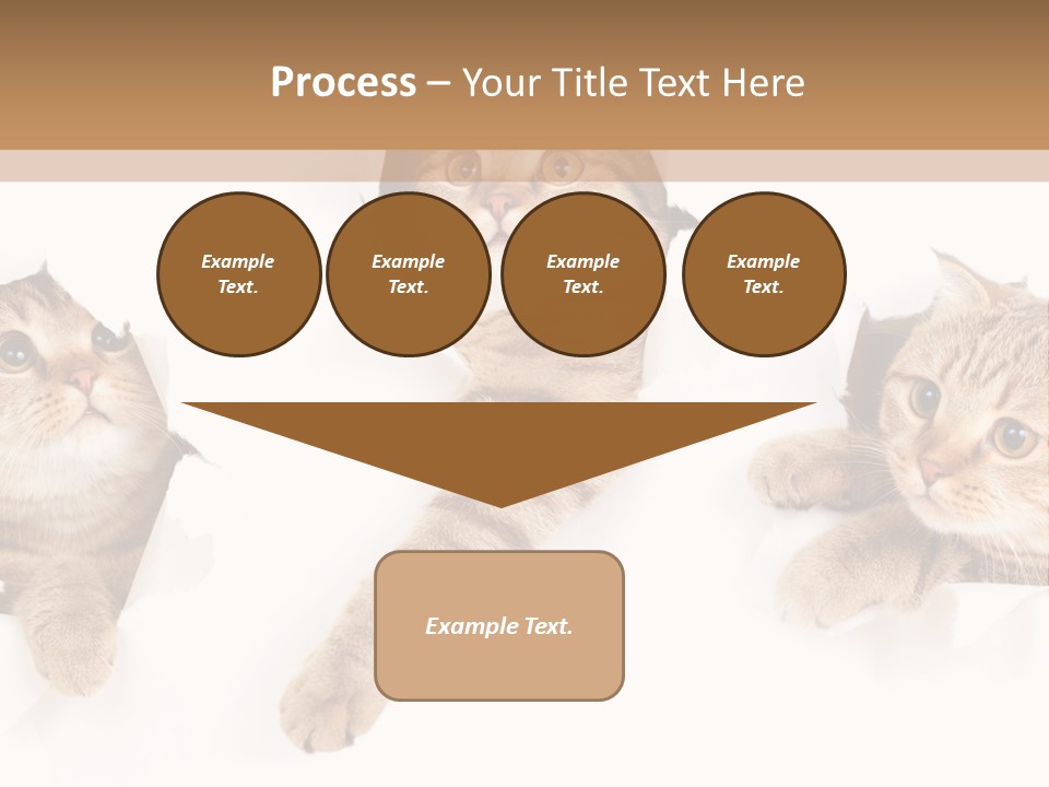 Hole Pedigreed Isolated PowerPoint Template