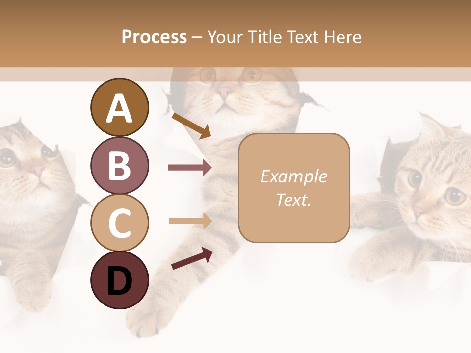 Hole Pedigreed Isolated PowerPoint Template