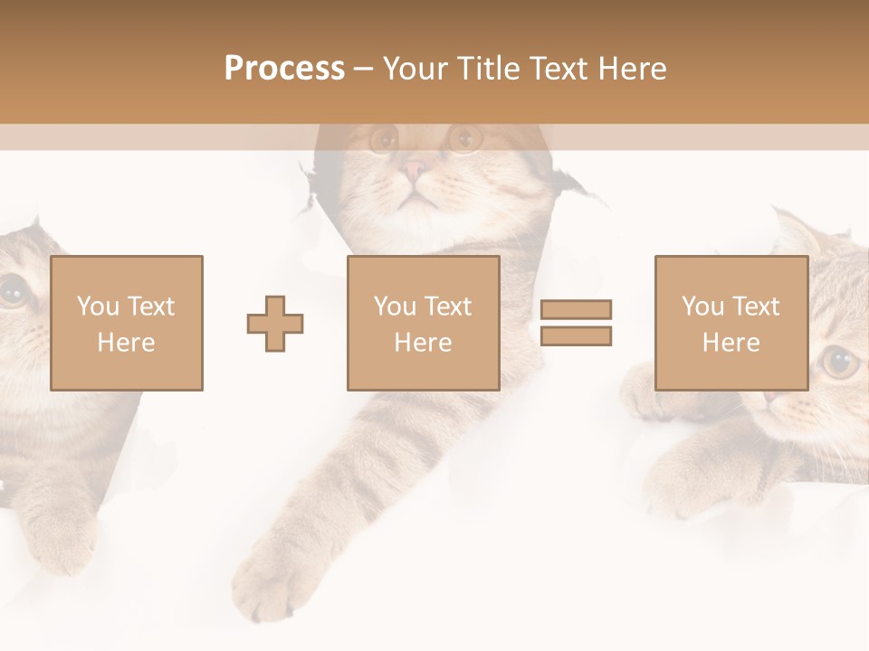 Hole Pedigreed Isolated PowerPoint Template