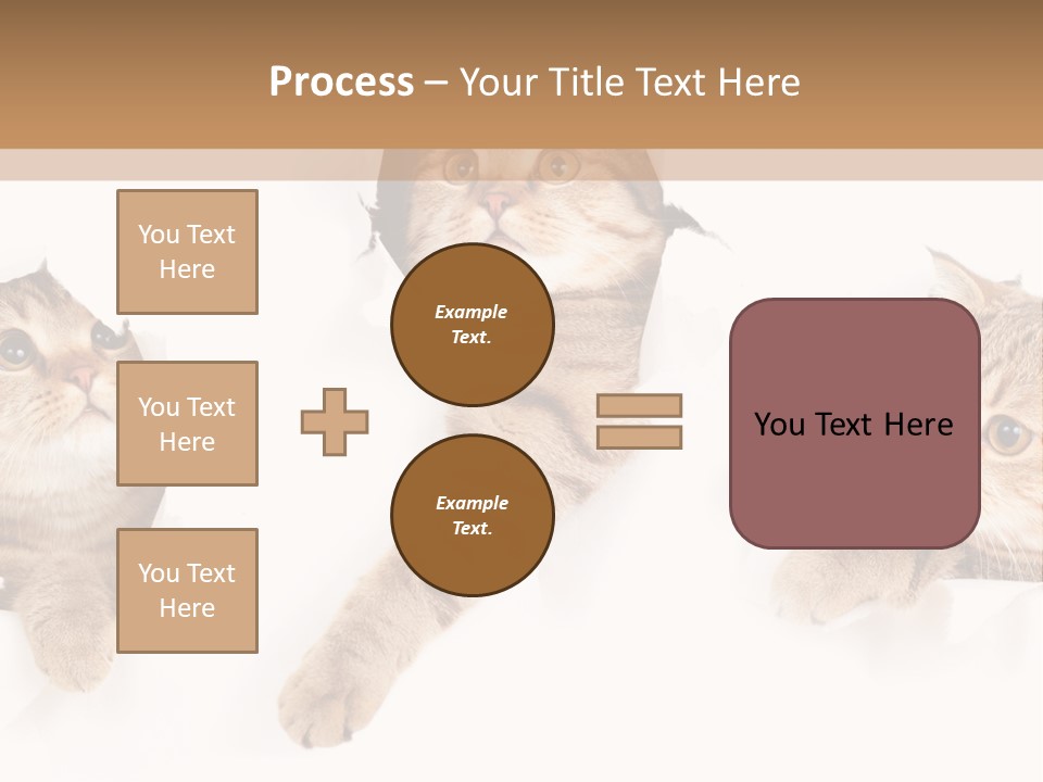 Hole Pedigreed Isolated PowerPoint Template