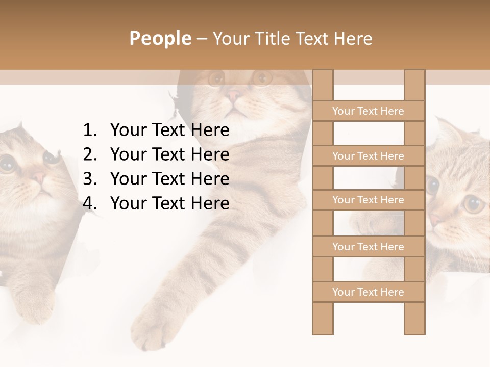 Hole Pedigreed Isolated PowerPoint Template
