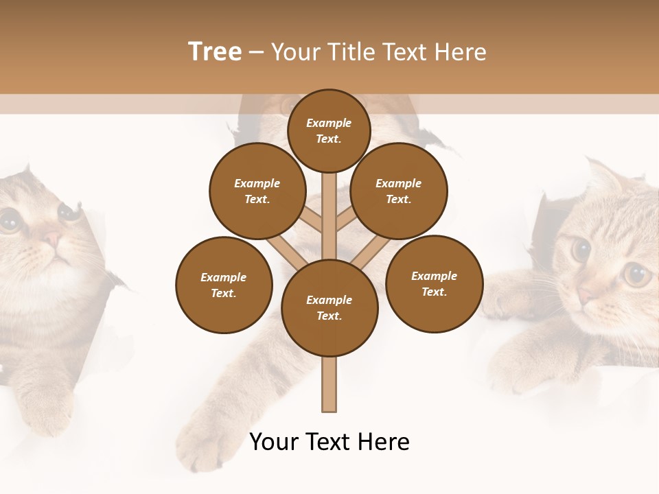 Hole Pedigreed Isolated PowerPoint Template