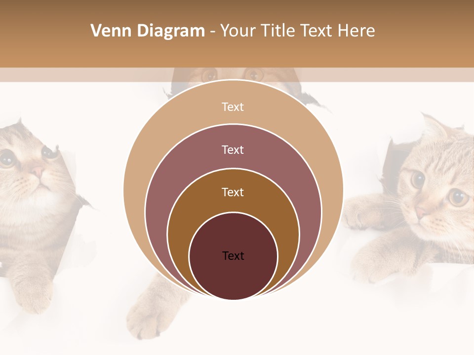 Hole Pedigreed Isolated PowerPoint Template