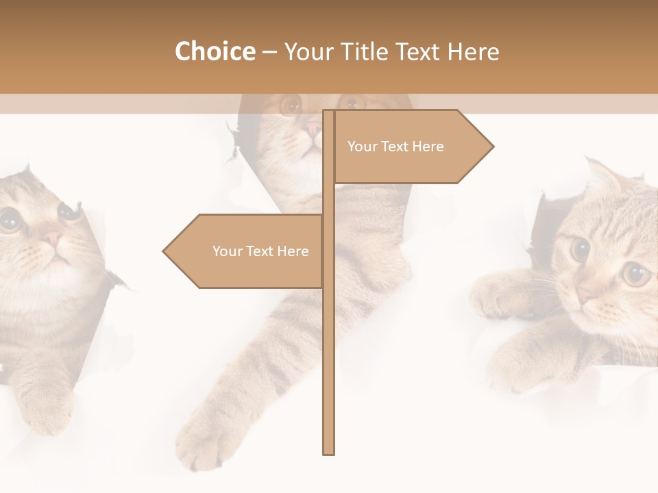 Hole Pedigreed Isolated PowerPoint Template