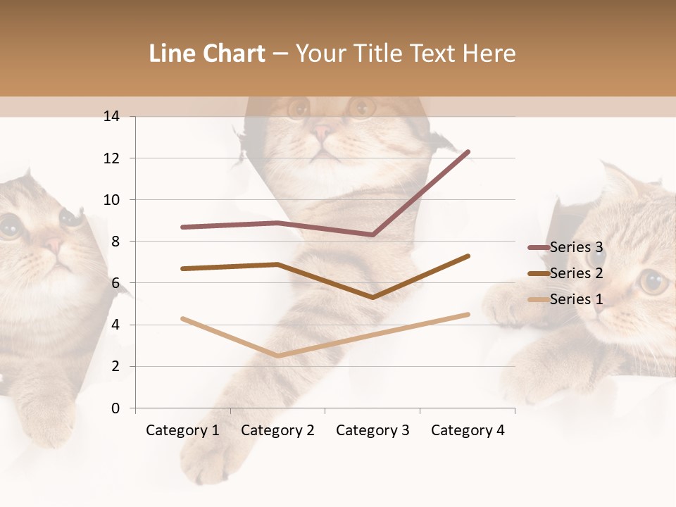 Hole Pedigreed Isolated PowerPoint Template