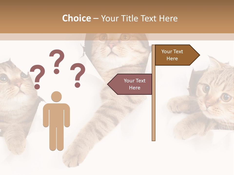 Hole Pedigreed Isolated PowerPoint Template