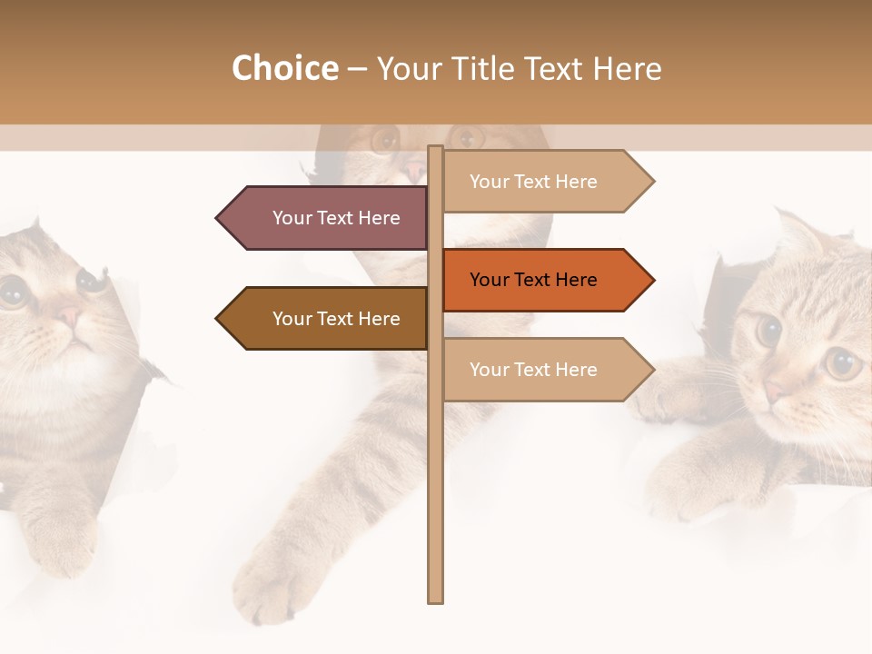 Hole Pedigreed Isolated PowerPoint Template