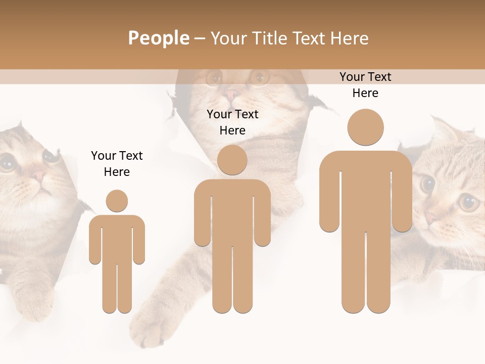 Hole Pedigreed Isolated PowerPoint Template