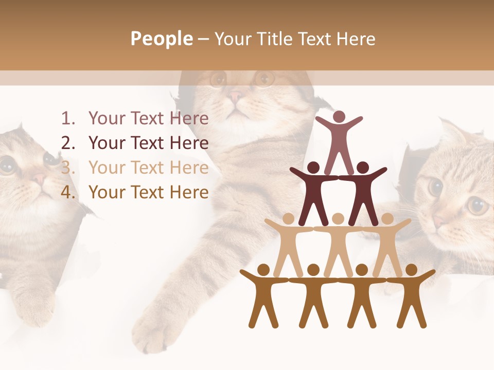 Hole Pedigreed Isolated PowerPoint Template