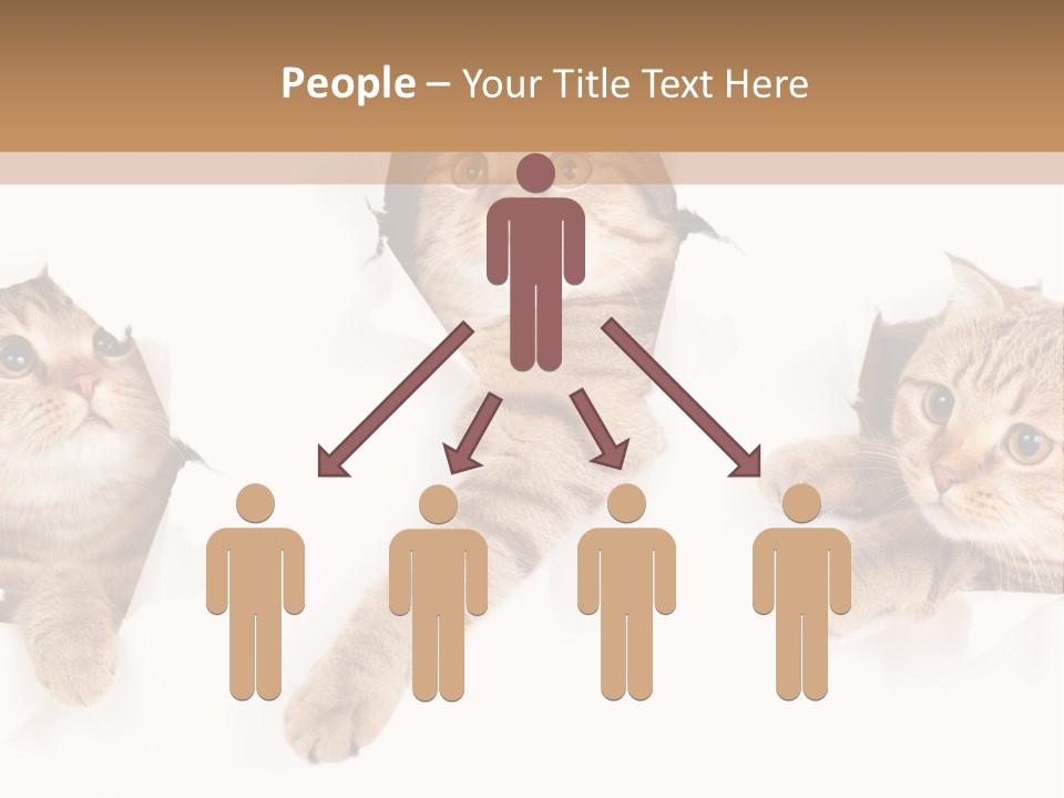 Hole Pedigreed Isolated PowerPoint Template