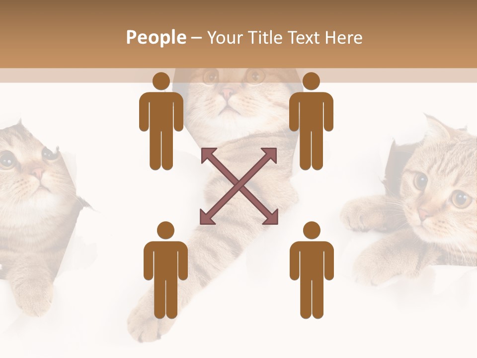 Hole Pedigreed Isolated PowerPoint Template