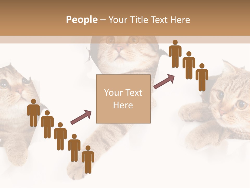 Hole Pedigreed Isolated PowerPoint Template