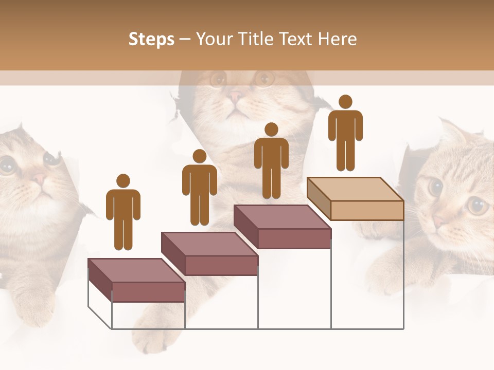 Hole Pedigreed Isolated PowerPoint Template