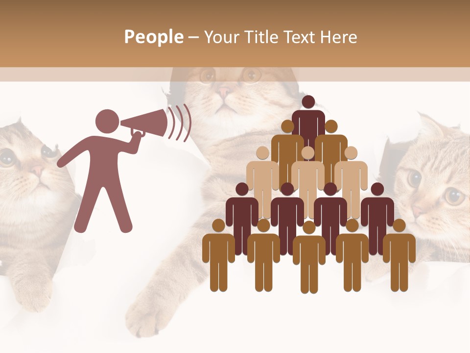 Hole Pedigreed Isolated PowerPoint Template