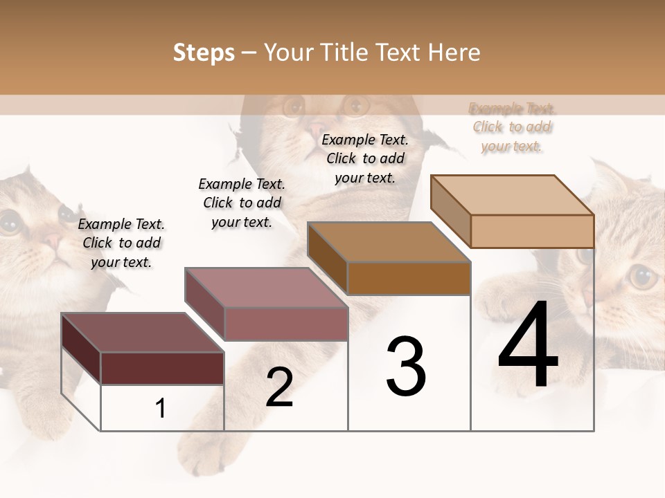 Hole Pedigreed Isolated PowerPoint Template