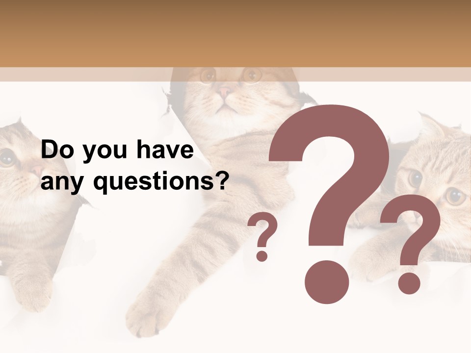 Hole Pedigreed Isolated PowerPoint Template