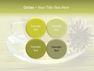 Herbal Beverage Cup PowerPoint Template