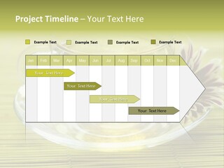 Herbal Beverage Cup PowerPoint Template
