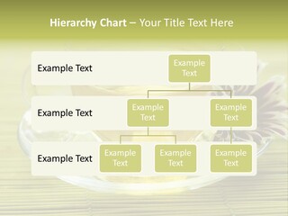 Herbal Beverage Cup PowerPoint Template