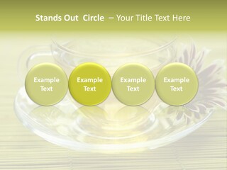 Herbal Beverage Cup PowerPoint Template