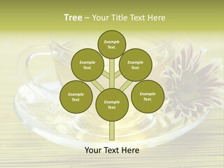 Herbal Beverage Cup PowerPoint Template