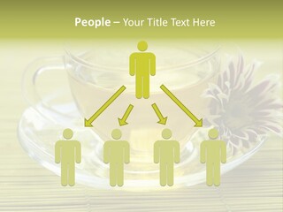 Herbal Beverage Cup PowerPoint Template