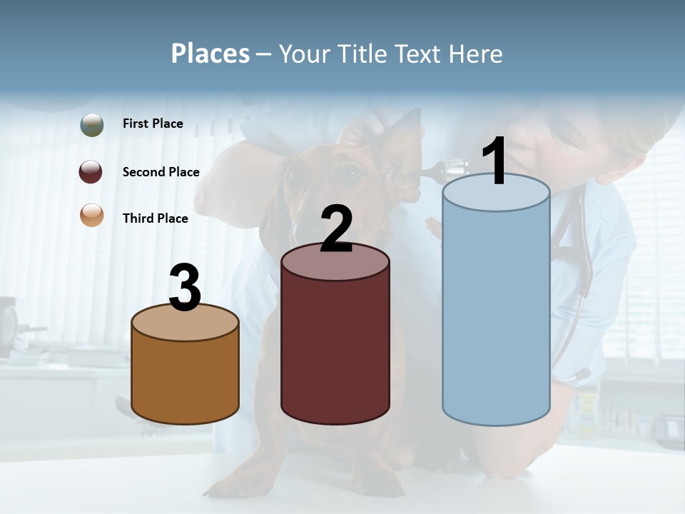 Big Isolated Dirt PowerPoint Template