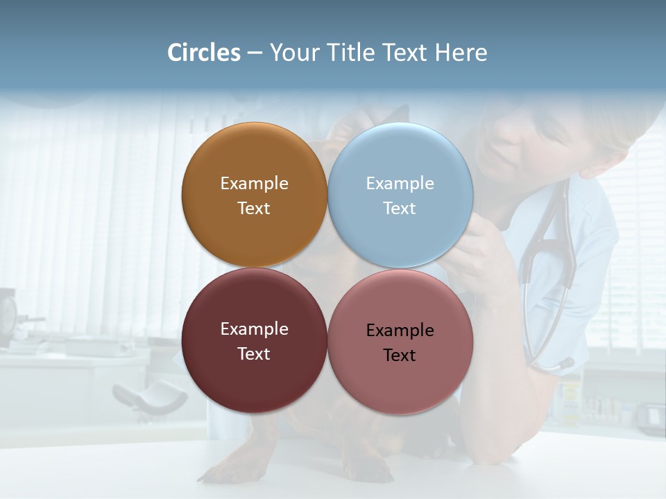 Big Isolated Dirt PowerPoint Template