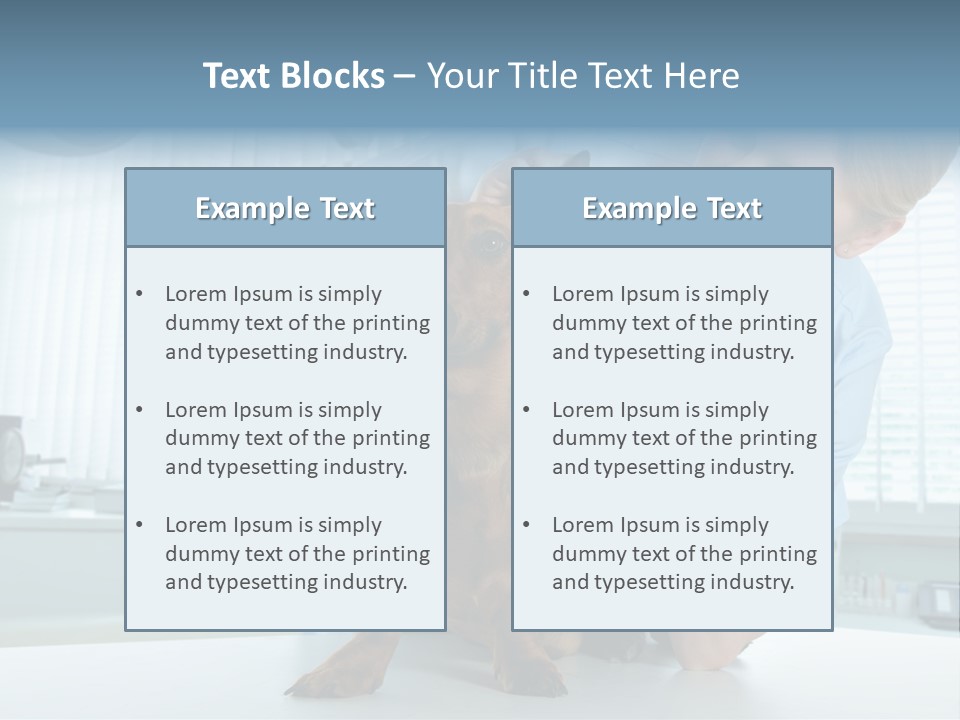 Big Isolated Dirt PowerPoint Template