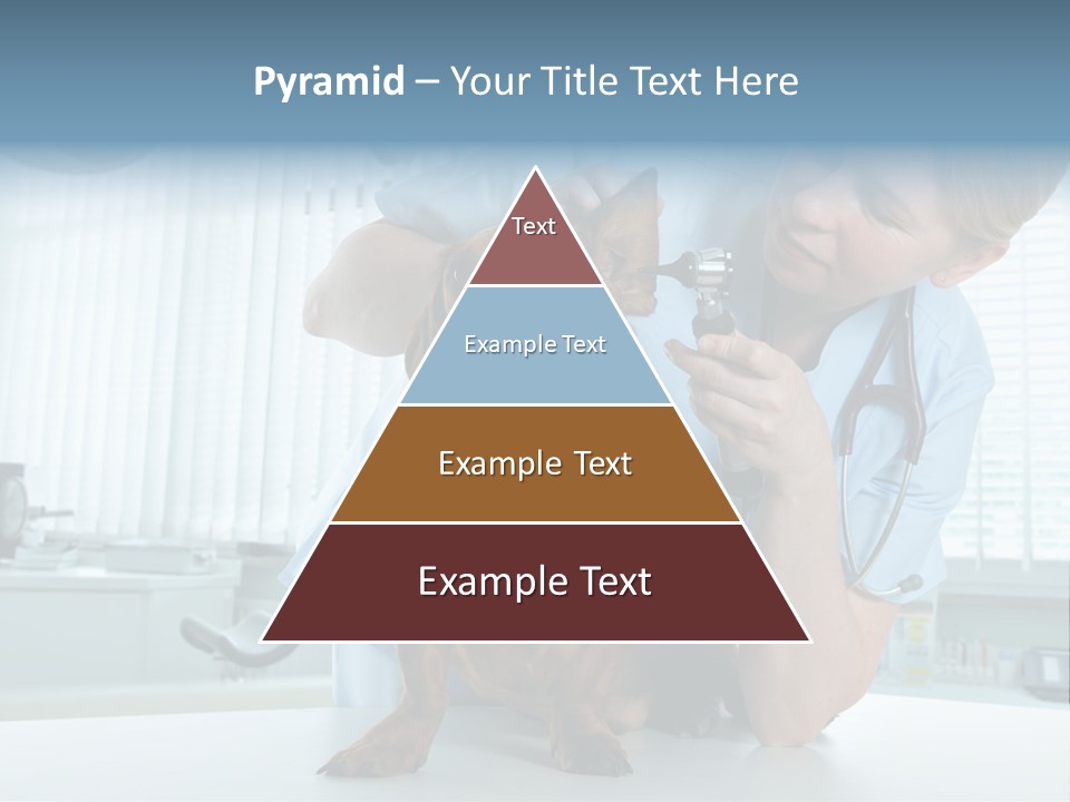 Big Isolated Dirt PowerPoint Template