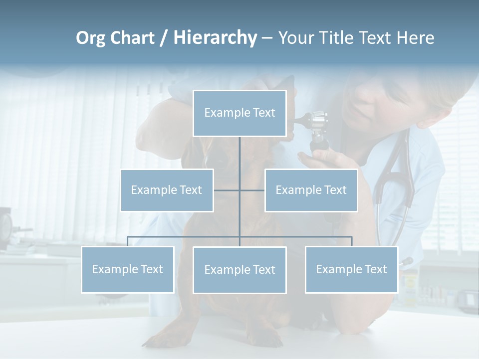 Big Isolated Dirt PowerPoint Template