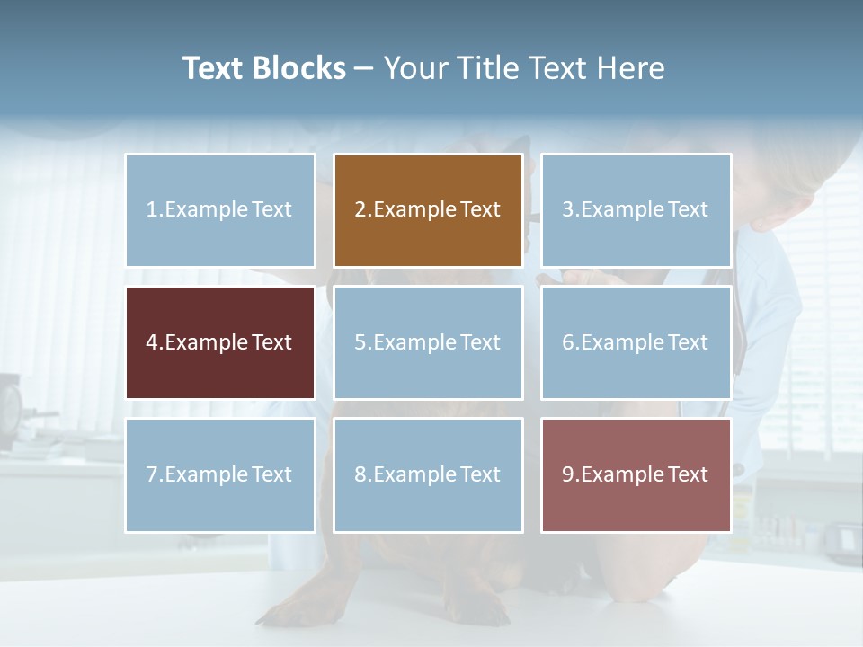 Big Isolated Dirt PowerPoint Template
