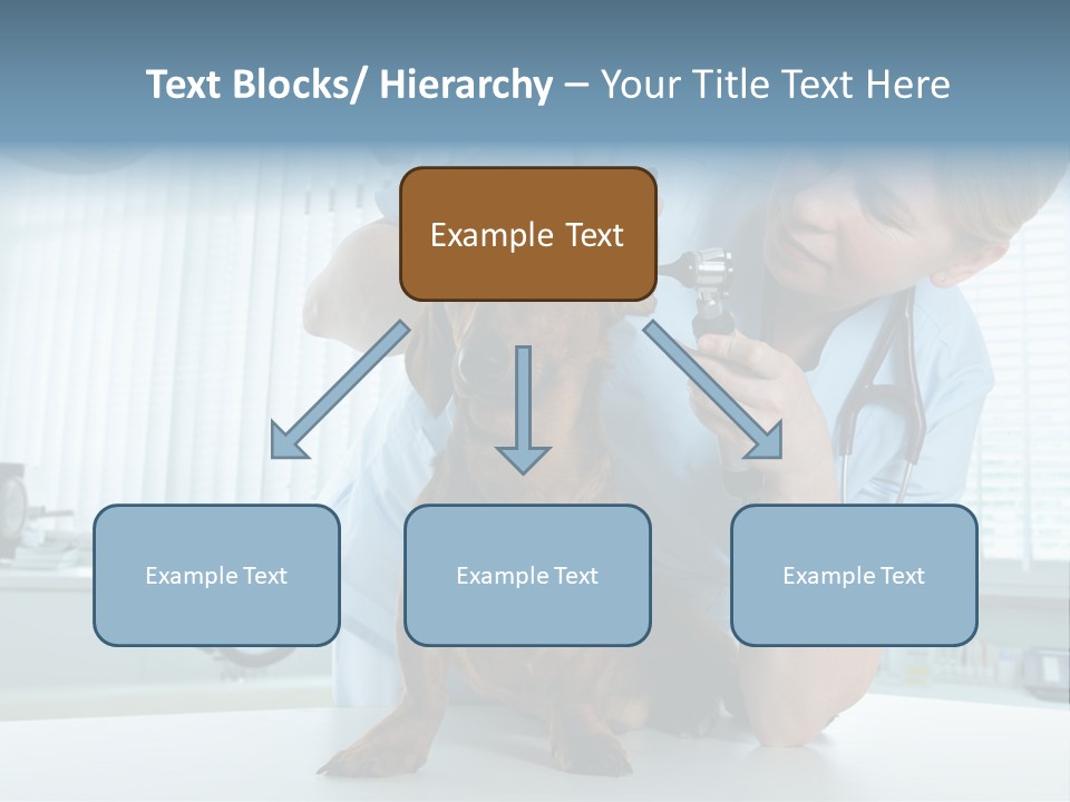 Big Isolated Dirt PowerPoint Template
