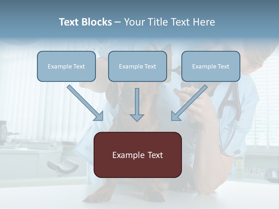 Big Isolated Dirt PowerPoint Template