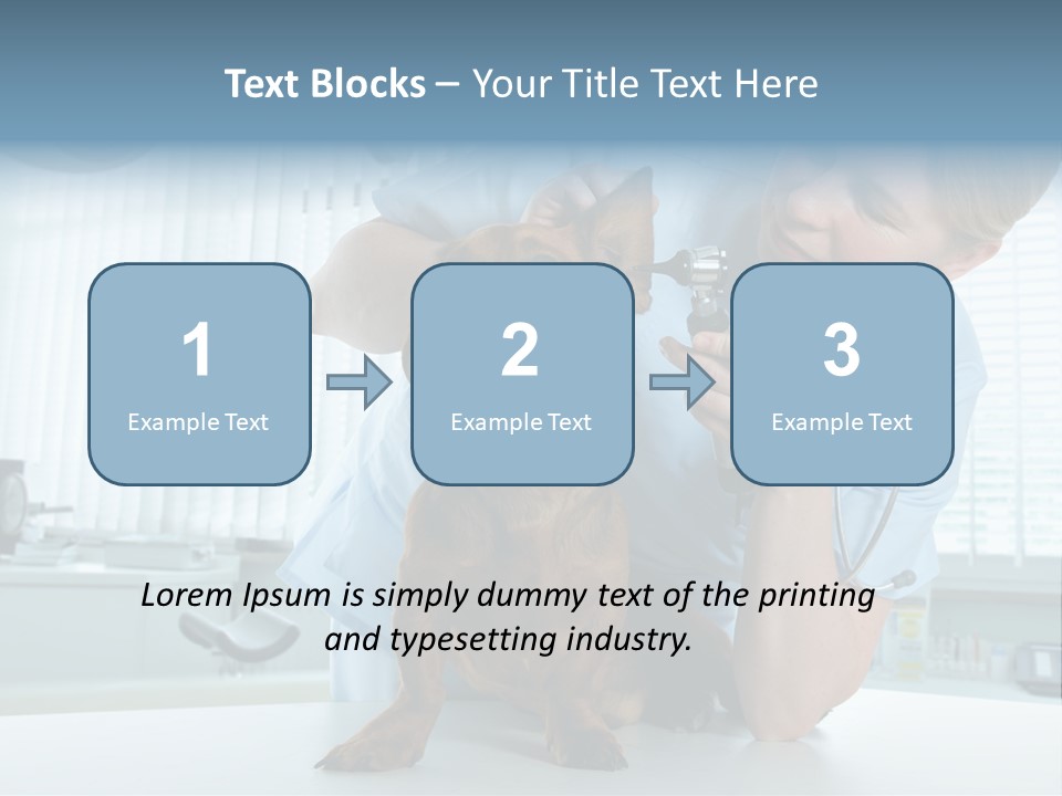 Big Isolated Dirt PowerPoint Template
