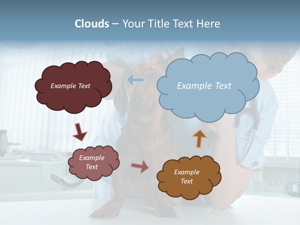 Big Isolated Dirt PowerPoint Template