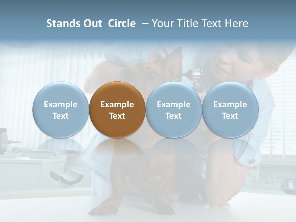 Big Isolated Dirt PowerPoint Template