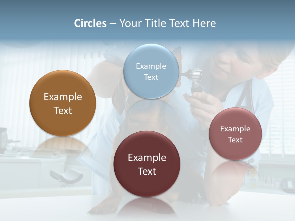 Big Isolated Dirt PowerPoint Template