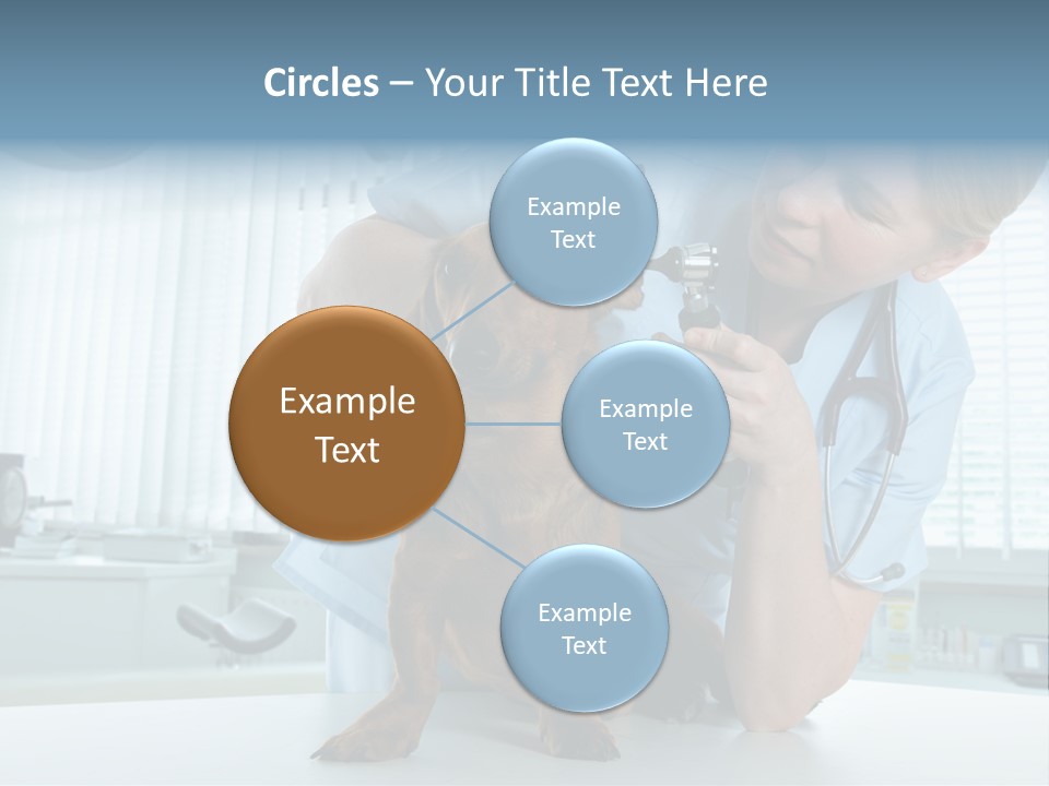 Big Isolated Dirt PowerPoint Template